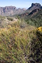 27_Big Bend National Park_01